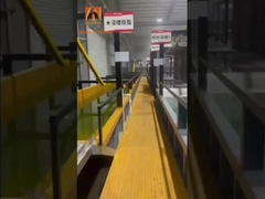 สายการผลิตสีแกน