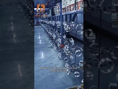 ระบบขนส่งแขวน